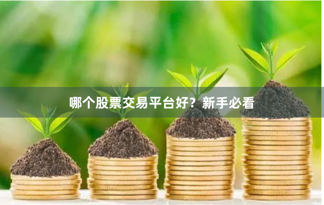 哪个股票交易平台好？新手必看
