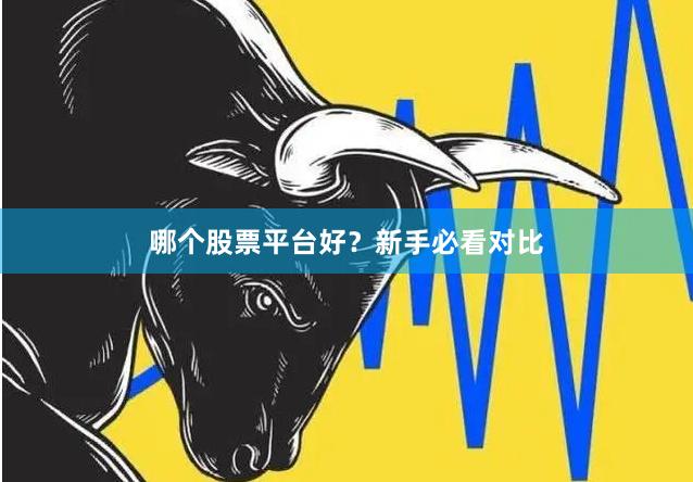 哪个股票平台好？新手必看对比