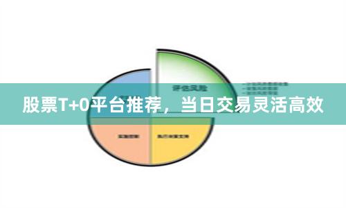 股票T+0平台推荐，当日交易灵活高效